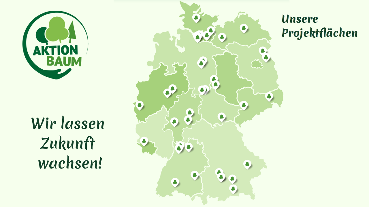 Spenden für Aktion Baum bis zum 23. Juli